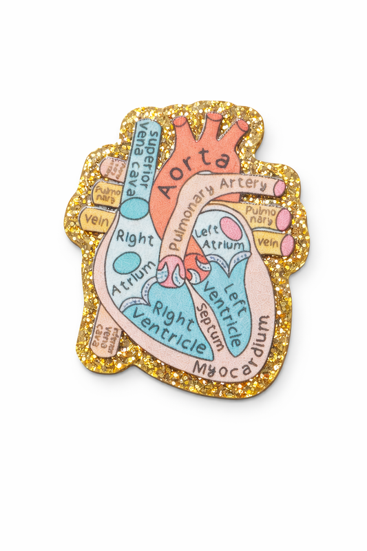Anatomical Heart Badge Reel | Cardiology Badge